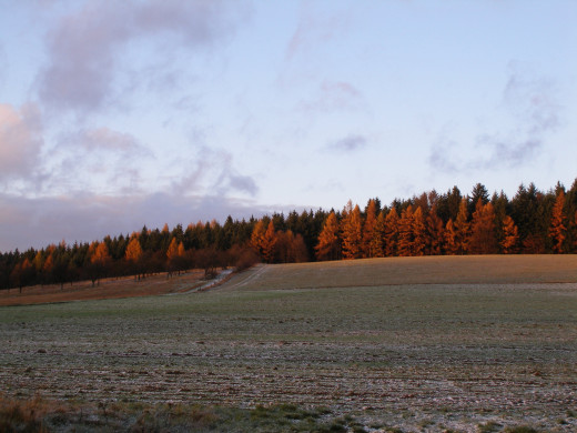634309 (a): :2048x1536